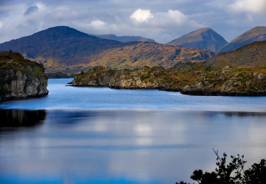 Wander Wild Festival Set To Spring Into Killarney