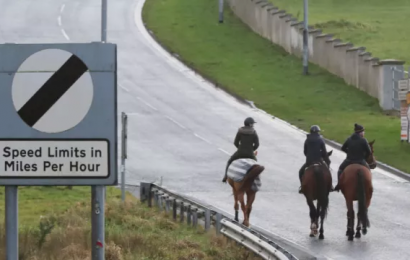 Lewis Appears To Rule Out Border Poll In The North