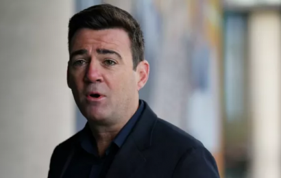 Citizens’ Assembly Continues Hearings On Directly Elected Mayors