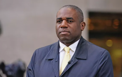 British Labour Party Better Able To Deal With Protocol Issues Says Lammy
