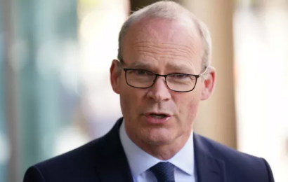 Coveney Says EU’s Stance On Protocol Has ‘Hardened’ In Face Of UK Threats
