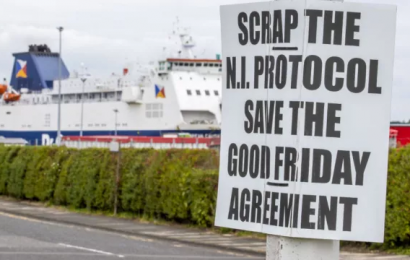 Donaldson Tells Irish Government To ‘Get Real’ On Protocol Problems