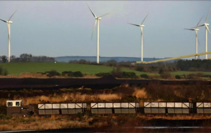 Taoiseach Calls For ‘New Era Of Stewardship’ To Protect Biodiversity