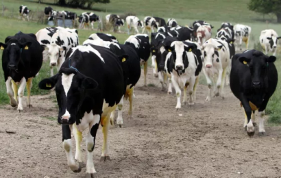 Ryan Hoping That Legally Binding Emissions Targets Will Be Implemented This Month