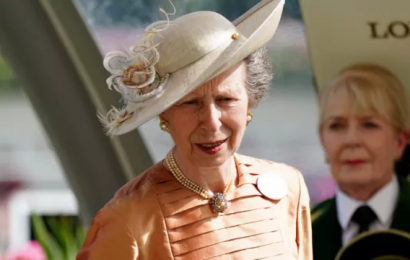 Britain’s Princess Anne Attends Garden Party At Hillsborough Castle