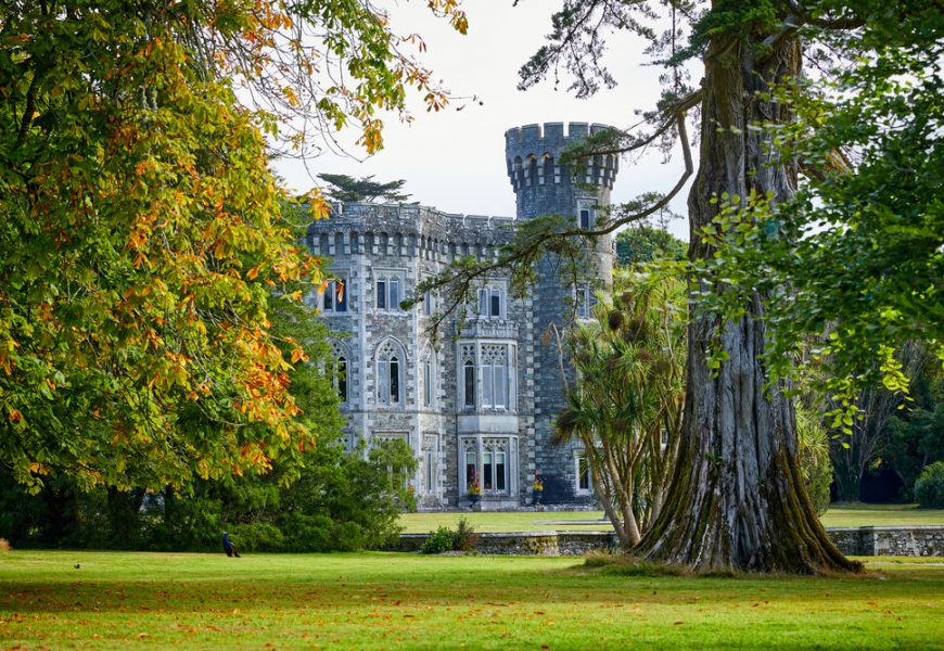 Volunteering Is Key For The Irish Heritage Trust And Johnstown Castle Estate, Museum & Gardens