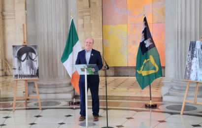 Hilary Beirne Candidate For Seanad Eireann National University Of Ireland Constituency