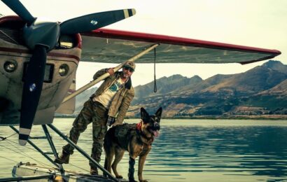 Actor Brad Pitt Stars in “Heart of the Beast” but The Real Star is Odin the Dog